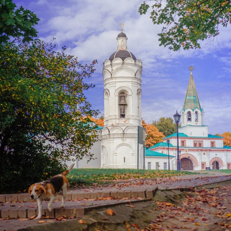 Коломенское - Изображение 17