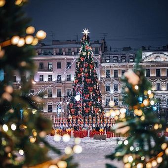 Ночная новогодняя интерактивная экскурсия