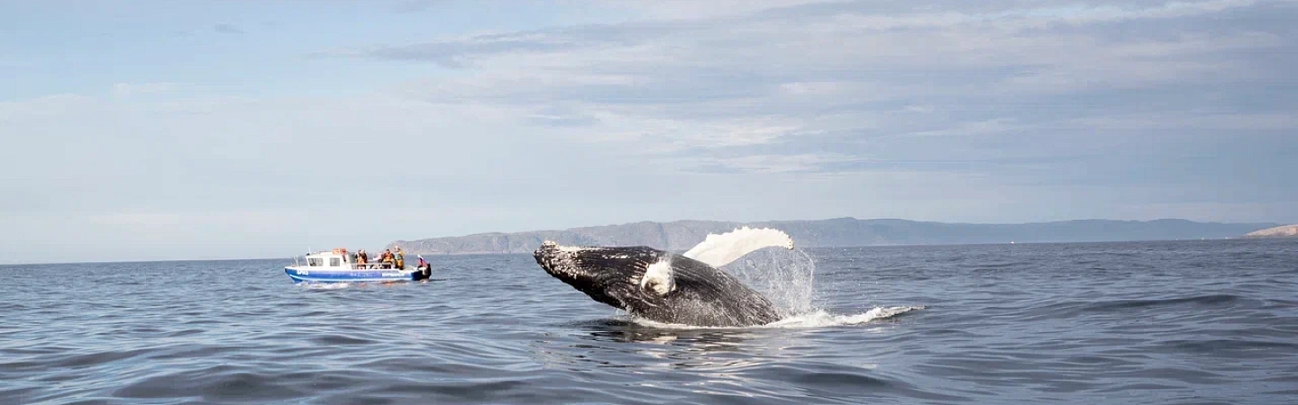 Кольский Викенд - Изображение 1