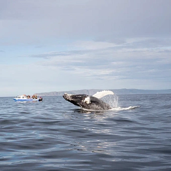 Кольский Викенд