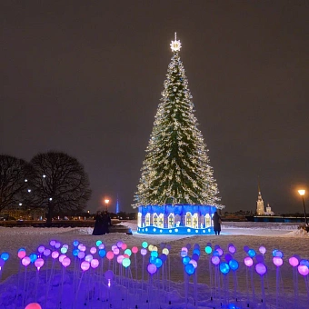 Новый год в Петербурге + путешествие в Карелию (6 дней)