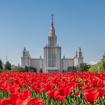 Весеннее настроение: 8 марта в Москве 3\2